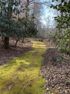Creekside Cabin Hot Tub Near Wineries Sleeps 4 - Dahlonega - 7