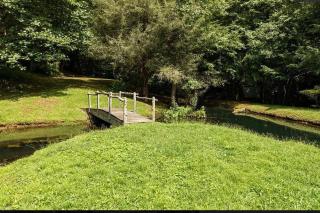 Creekside Cabin Hot Tub Near Wineries Sleeps 4 - 3
