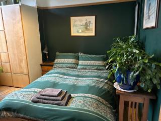 Large cosy room in G3 - Glasgow - 6
