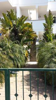 Appartamenti in villetta a Torre San Giovanni - 9