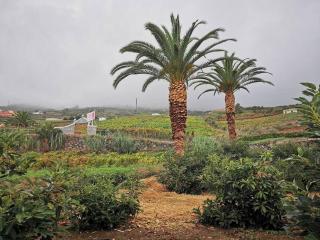 Casa entre viñedos - Santa Cruz de Tenerife - 2