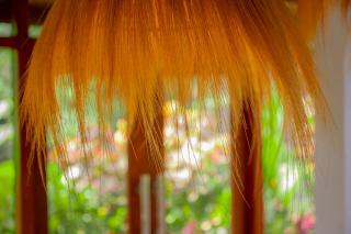 Garden villa on top of the Hill - 1