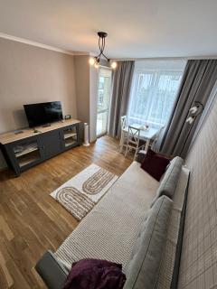 APARTAMENT Alexa Zasanie - Przemyśl - 8