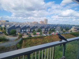 flat - Thamesmead - 1