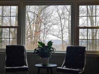 MCM w HotTub, Metro, Games, Grill, Tons of Space - Cheverly - 7