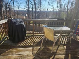 MCM w HotTub, Metro, Games, Grill, Tons of Space - Cheverly - 2