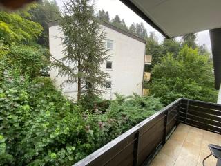 Park und Therme - Bad Wildbad - 3