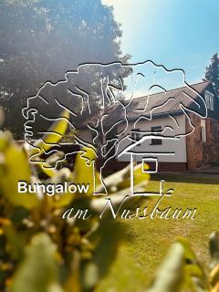 Bungalow am Nussbaum - Olbersdorf - 7