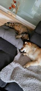 ~ Parenthèse bucolique ~ -  - 1