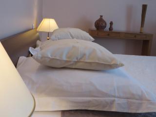 Demeure vigneronne de charme Pays CATHARE Carcassonne Jacuzzi - 3