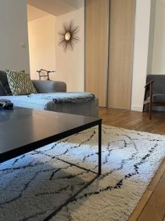 MC Suite XL CMZ Gonzague Place-Ducale - Charleville-Mézières - 9