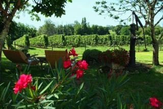 Bleu Raisin - Les Salles-de-Castillon - 1