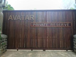 Corcovado Renting Houses-Villas-Tents-Nature-Great Views - 1