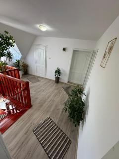 Csermely Panzio - Izvoru Mureşului - 8
