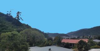 Birdsong - Picton - 9