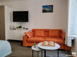 appartement champs elysees - 4