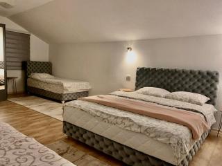 Vila Vasilisa - Prijepolje - 3