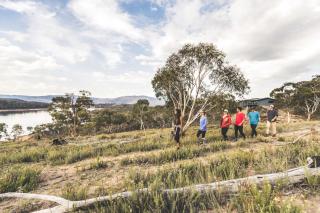 Creel Bay Cottages - Kalkite - 1