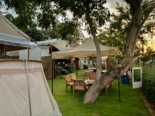 With you camp - - 5