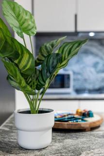 Harry-WSP JawDropView 3B2B w Parking Near SkyBus - Melbourne - 6