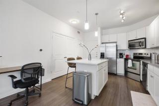 Lux 1B Near Downtown - Austin - 2
