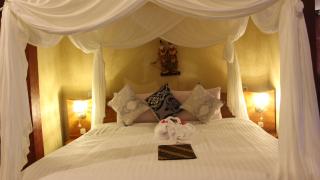 Tangkoko Sanctuary Villa - 7