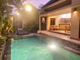 Antira Private Villa Ubud - Ubud - 4
