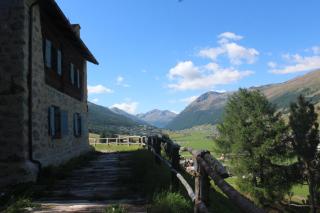 Chalet Charm by Original Galli - 2