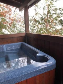 Moon Shadow - Beautiful Cabin 1 mile from Parkway - 9