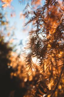 Ora Retreat Villa Experience - 5