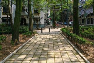 Ave Ámsterdam 2br at Parque México! - Città del Messico - 1
