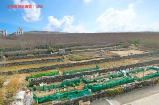 澎湖金宿喜民宿Penghu Comfy B&B澎湖民宿1056號 - Magong - 1