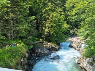 Appartement César de standing plein centre - 1