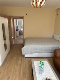 The Cozy House - Kjustendil - 8