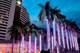 Park Views & Luxe Amenities in Broadbeach - 7