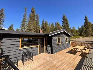 Modern Cozy Cabin Near Langsua National Park - Heggenes - 0
