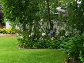 De Witt'e Guest House - 1