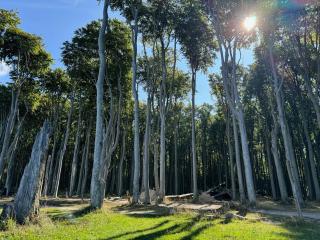 Pension Ostsee-Strand - 2