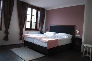 Hotel Koruna - Chlumec nad Cidlinou - 6