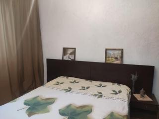 Parklake 4 camere 7 persoane - Dudeşti - 9