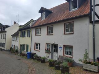 Appartement am Schlossgarten - Bad Homburg vor der Höhe - 1