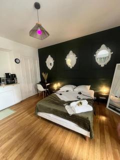 Romantique Room balneo - Grenoble - 1