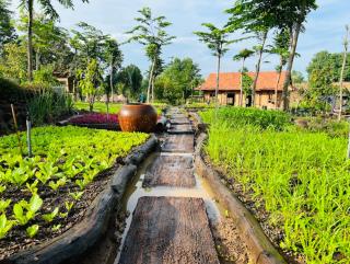 Khu Nghỉ dưỡng Sinh thái Nhà Lụa Retreat - - 9