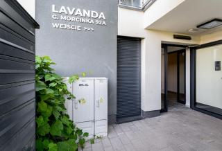 Gusta Cosy Apartment - Cracovia - 6