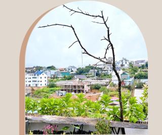 Nyby Villa Dalat by NHATUIshare - 4