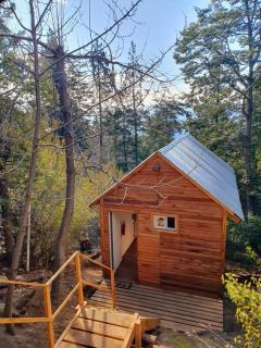 Tiny House en el bosque - Bariloche - 1