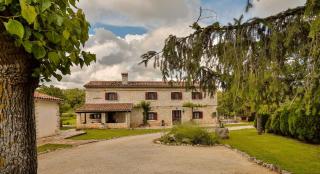 House Edera in Central Istria for 6 people with large garden and salt - water private pool - Juršići - 0