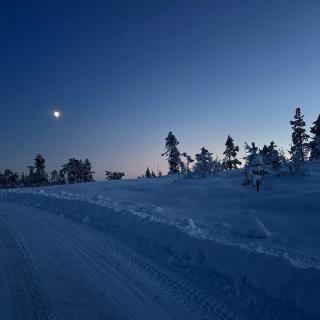Fjellspurven - Vradal - 7