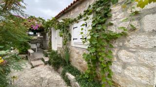 Villa rustica bougainvillea - Maslinica - 9