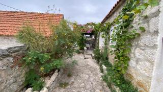 Villa rustica bougainvillea - Maslinica - 8